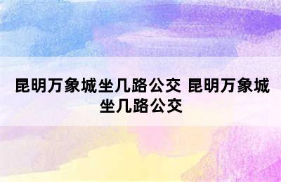 昆明万象城坐几路公交 昆明万象城坐几路公交